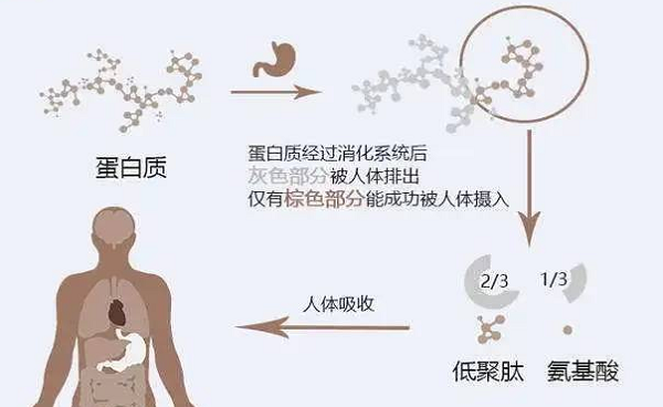 選擇離心濃縮儀時應(yīng)該注意哪些事項呢？
